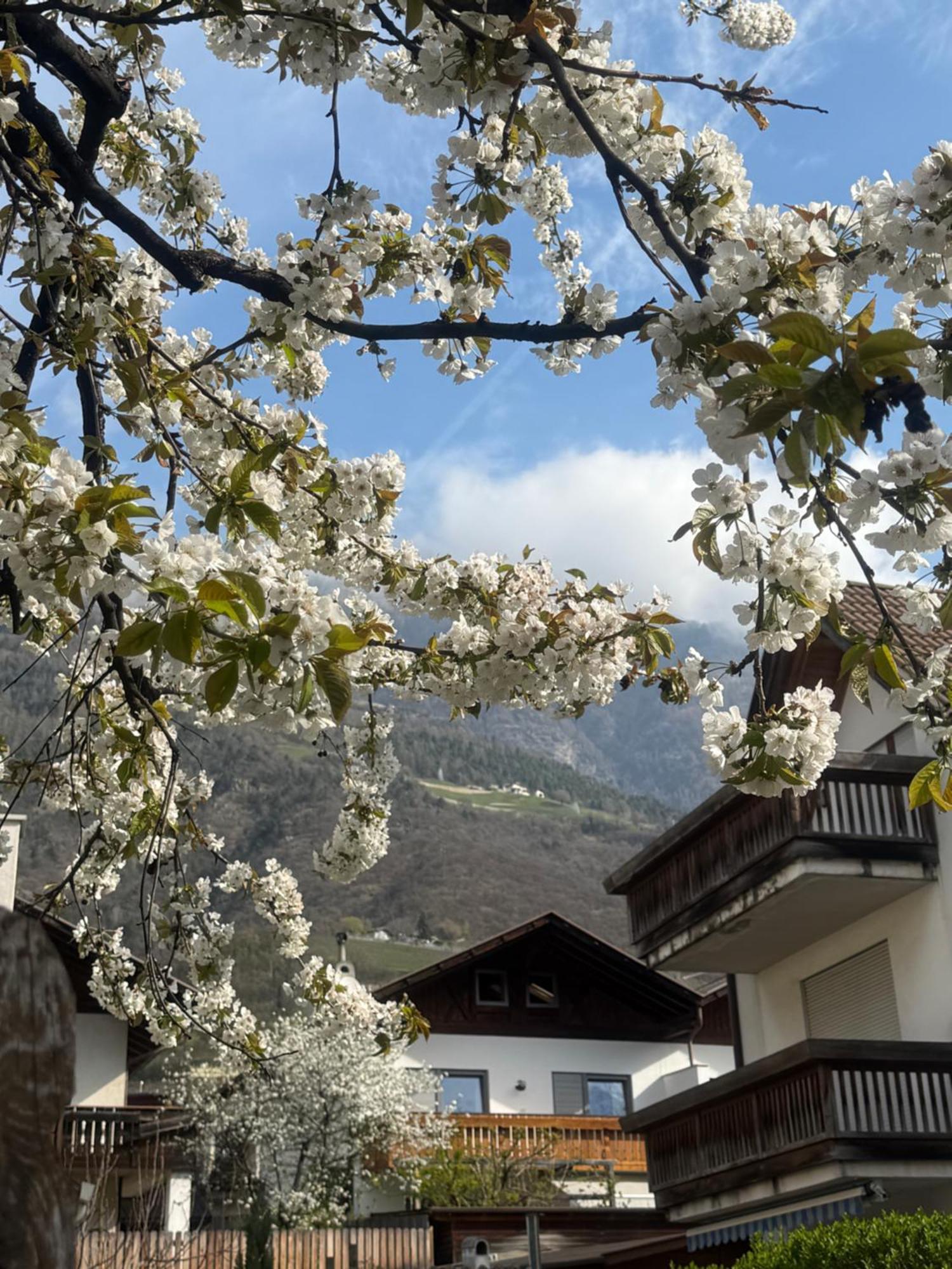 Ferienwohnung Im Zentrum Натурно Экстерьер фото